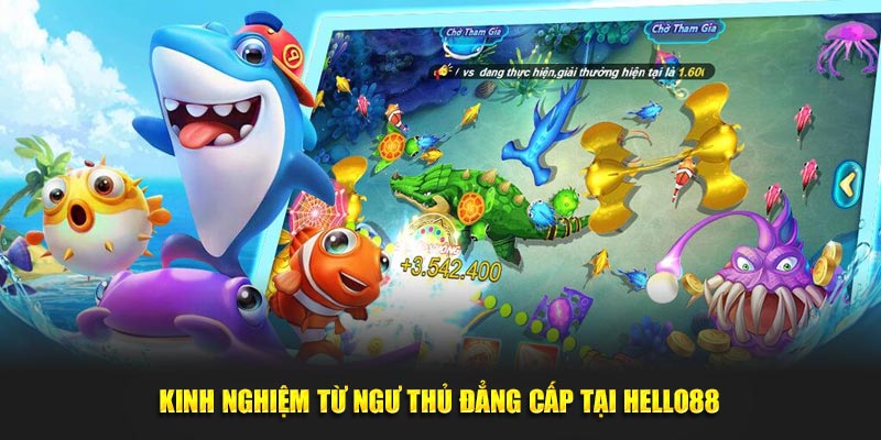 Kinh nghiệm từ ngư thủ đẳng cấp tại Hello88