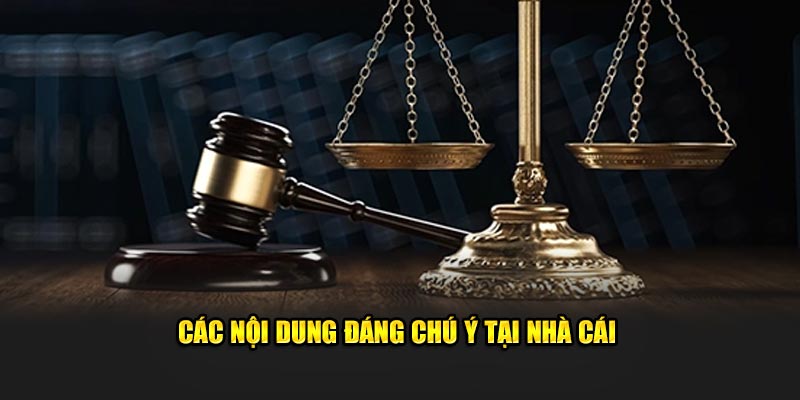 Các nội dung đáng chú ý tại nhà cái